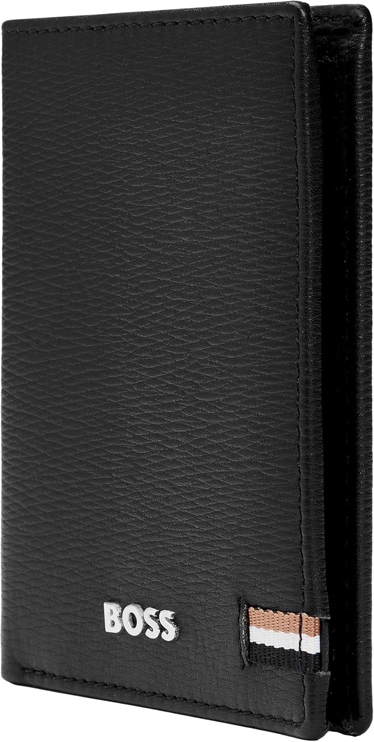 Card case, black, 16.2, Classic