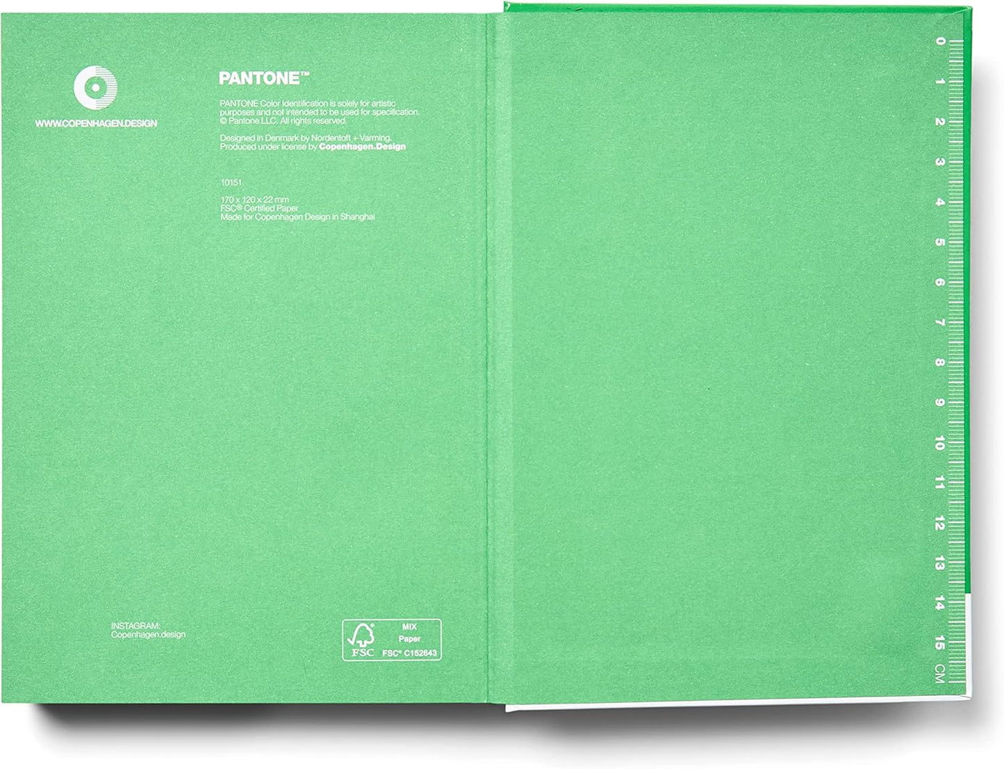 Copenhagen Design PANTONE Notebook S Unlined 96 Pages with Elastic Closure and Bookmark Green 16-6340