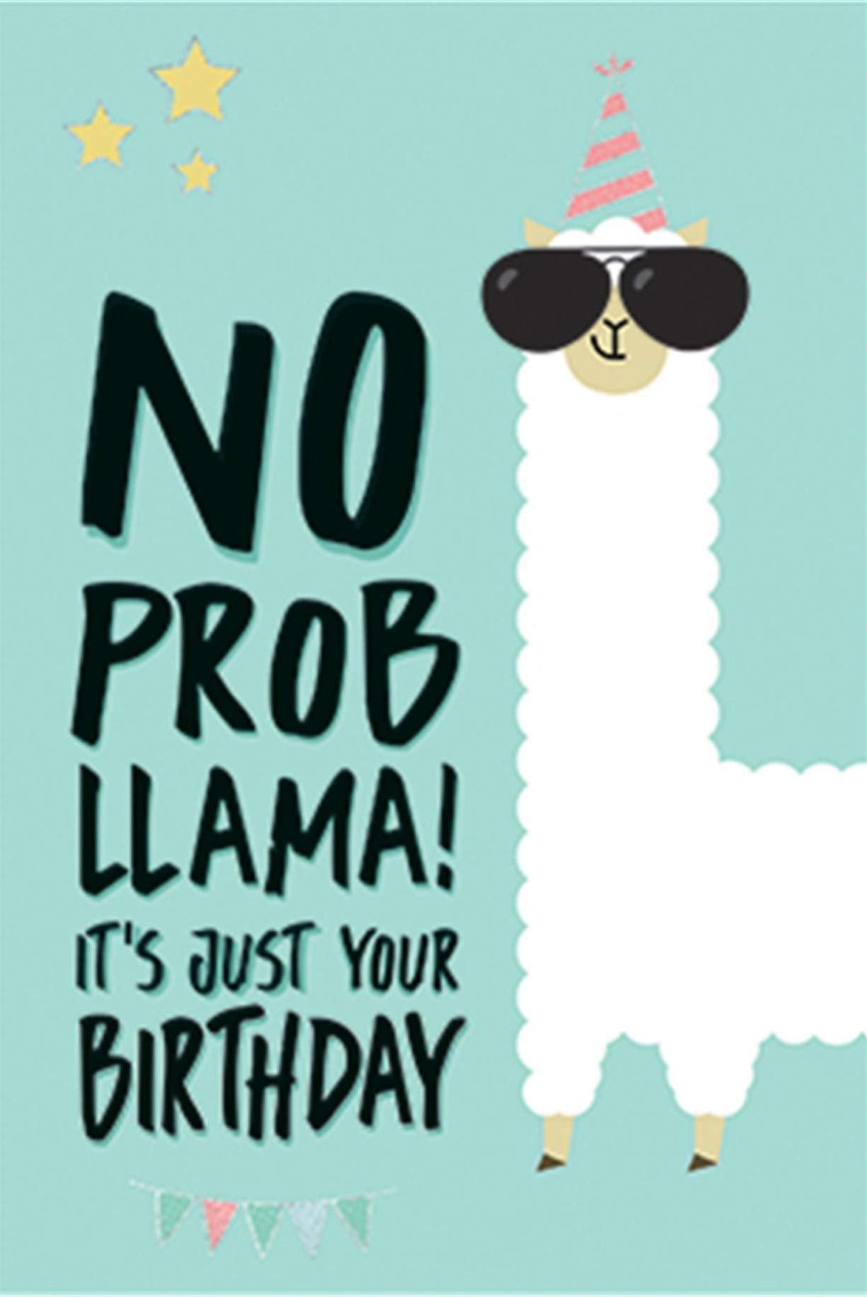 Greeting Card No Probllama! 11.5 x 17 cm