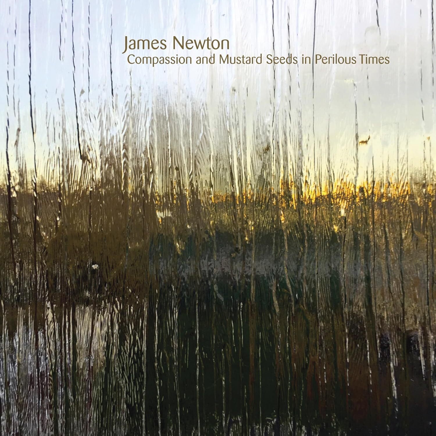 James Newton: Compassion and Mustard Seeds in Perilous Times
