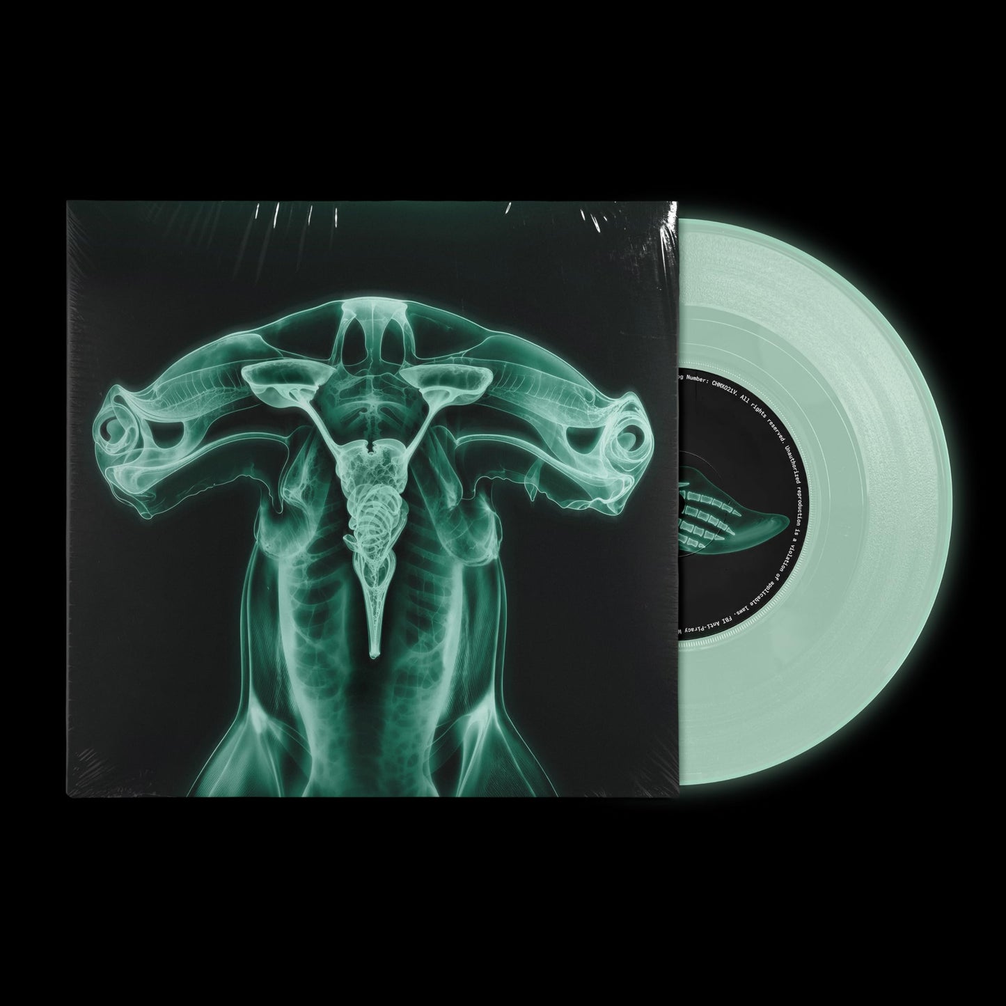 Shark Brain / Dolphin - Glow in the Dark