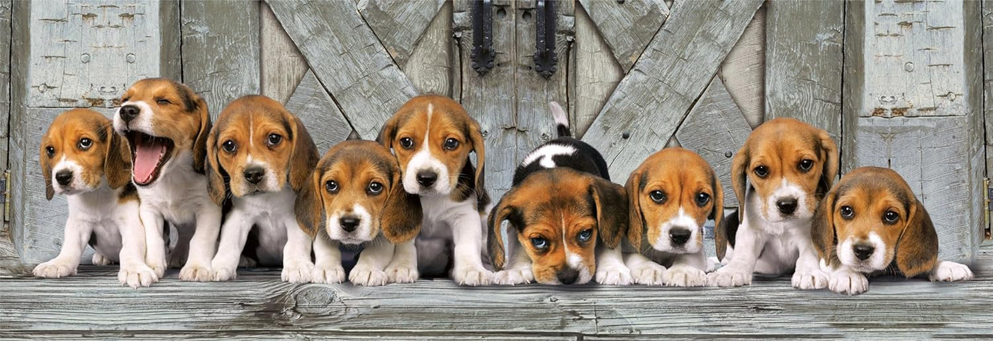 Clementoni Jigsaw Puzzle Collection - Beagles 1000 Pieces - Poster Included, Puzzle For Adults 14-99 Years, Gift For Men/Women, Dog, Animal, Made In Italy, 39869