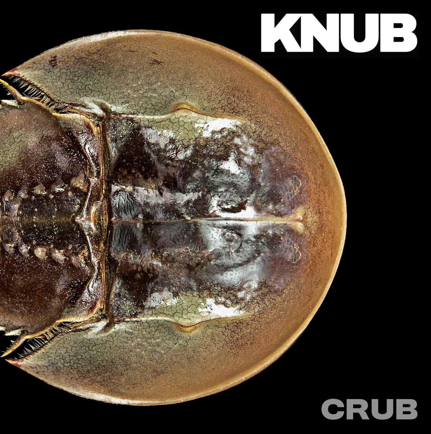 Crub