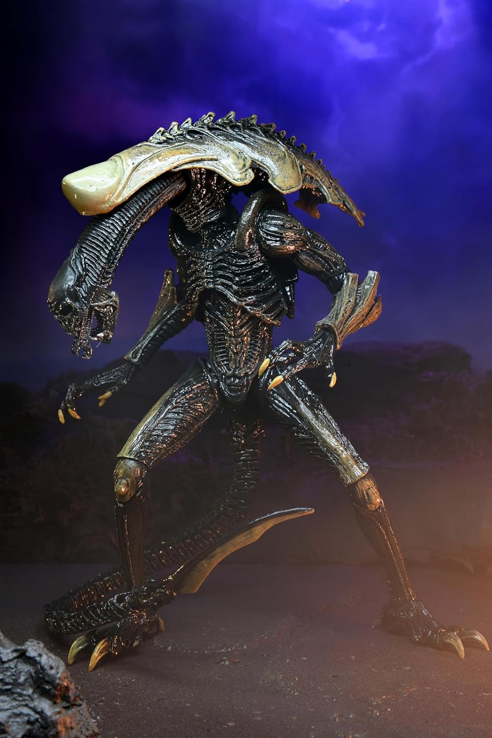 NECA - Figurine Alien VS Predator - Chrysalis Alien 18cm - 0634482517192