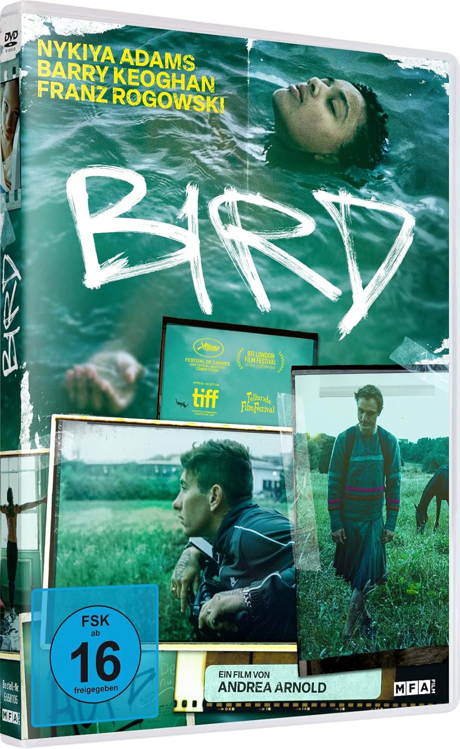 ARNOLD, ANDREA - BIRD