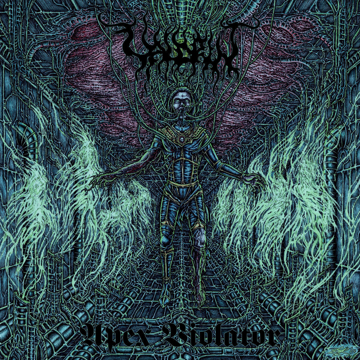 Apex Violator