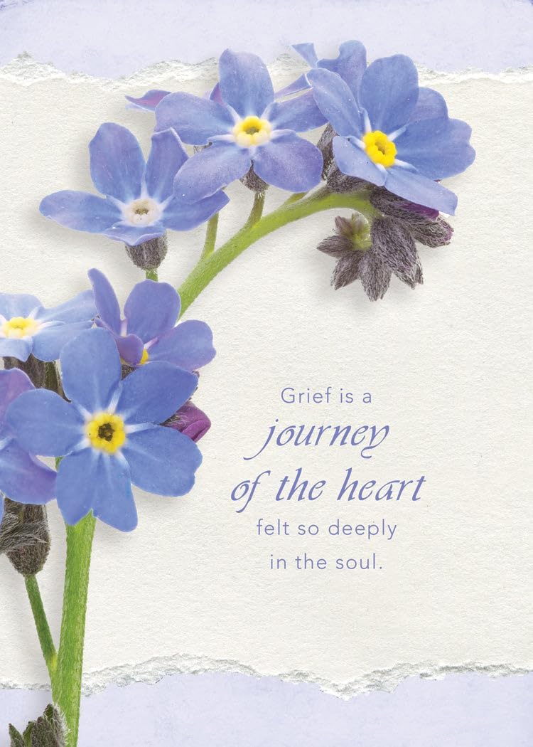 Warner Press Card-Boxed-Journey of The Heart Assorted Sympathy (NIV) (Box of 12