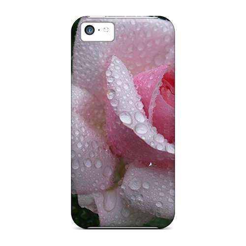 Fantasy art DaMMeke Fashion Protective After The Spring Rain Case Cover For Iphone 5c