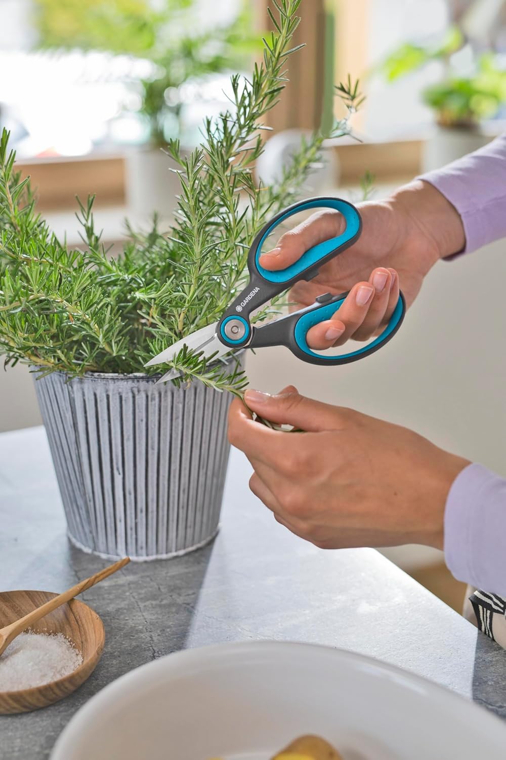 GARDENA HerbCut: stainless steel herb scissors for cutting herbs with woody stems, 52 mm blades, handles made from recycled plastic, with leaf stripper for herbs like rosemary (12214-20