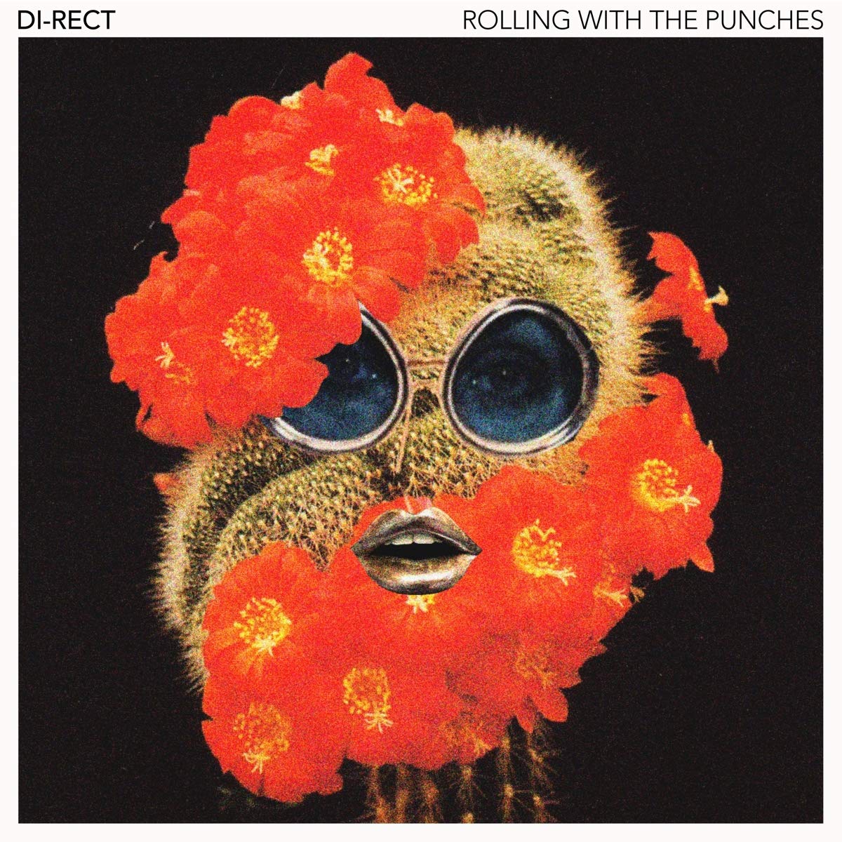 Rolling With the Punches