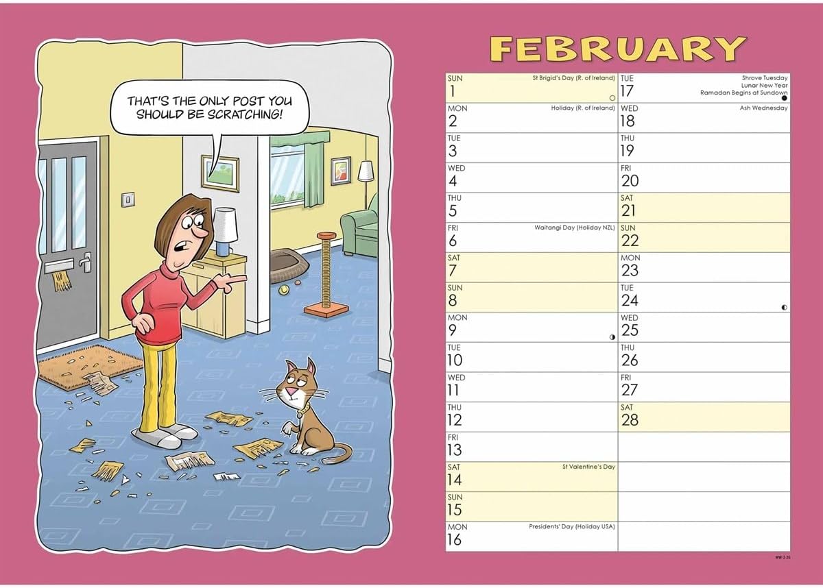 Carousel Worldwide, Wacky World of Cats 2026 A4 Wall Calendar