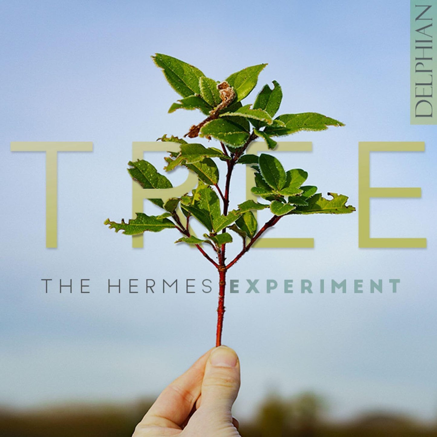 The Hermes Experiment: Tree