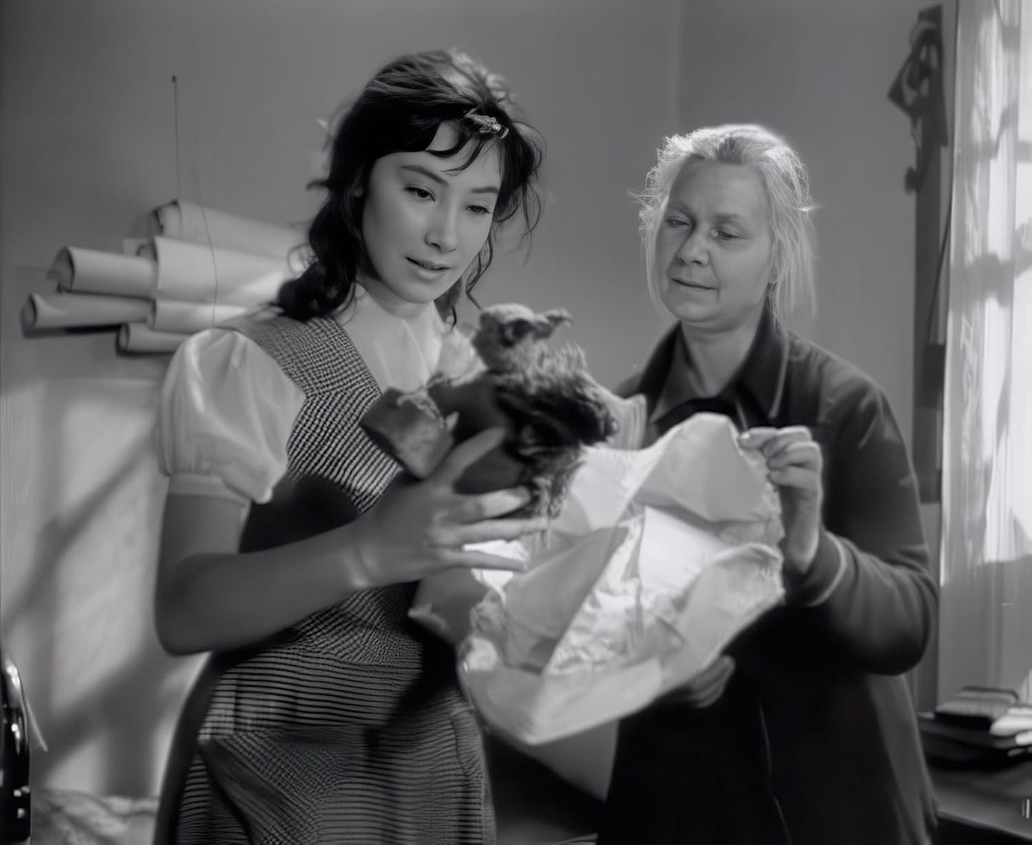 Wenn die Kraniche ziehen - Special Restored Edition (DEFA Filmjuwelen
