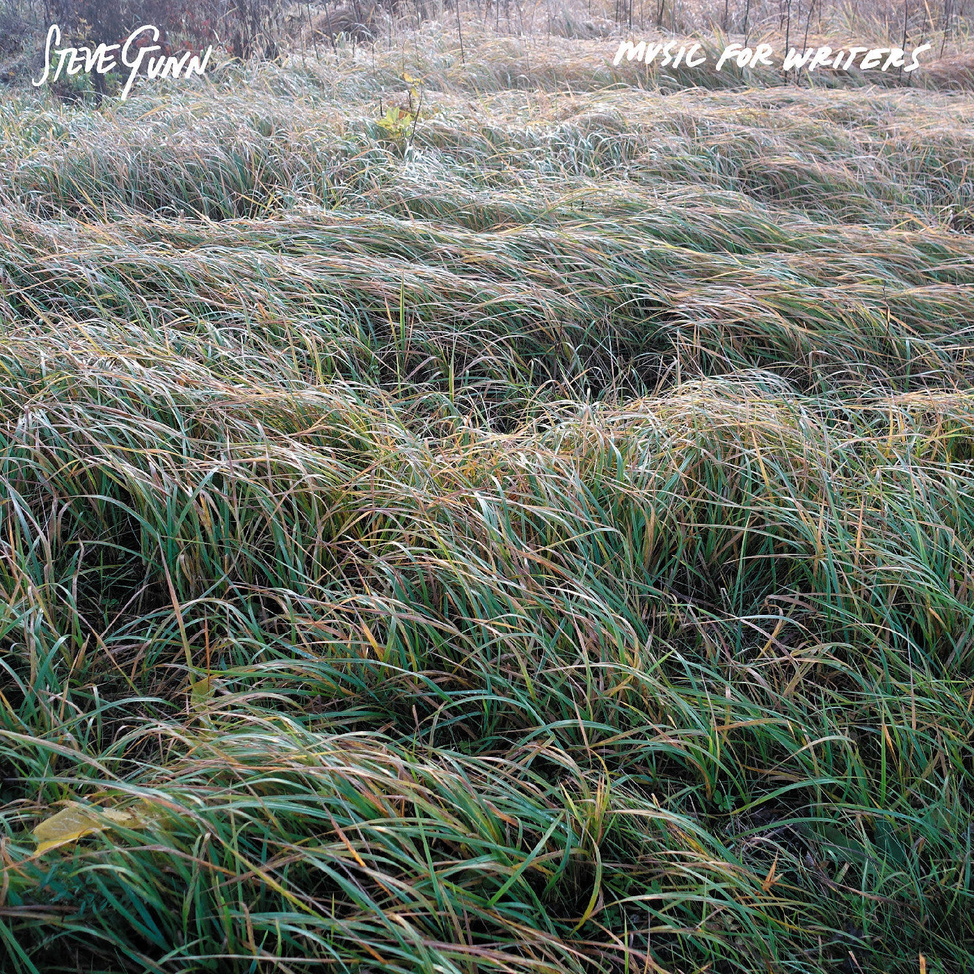 Music for Writers