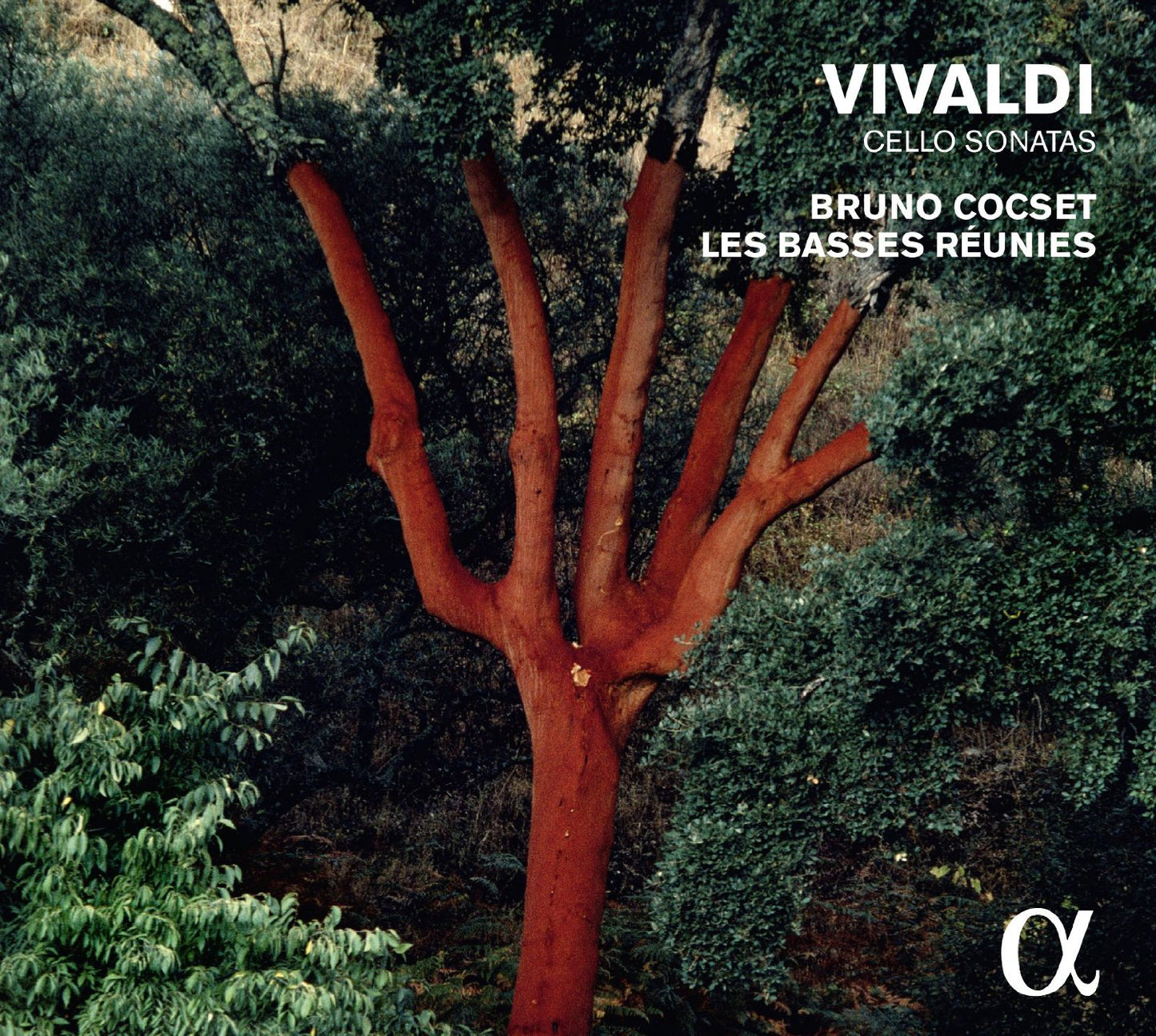 Vivaldi: Cello Sonatas
