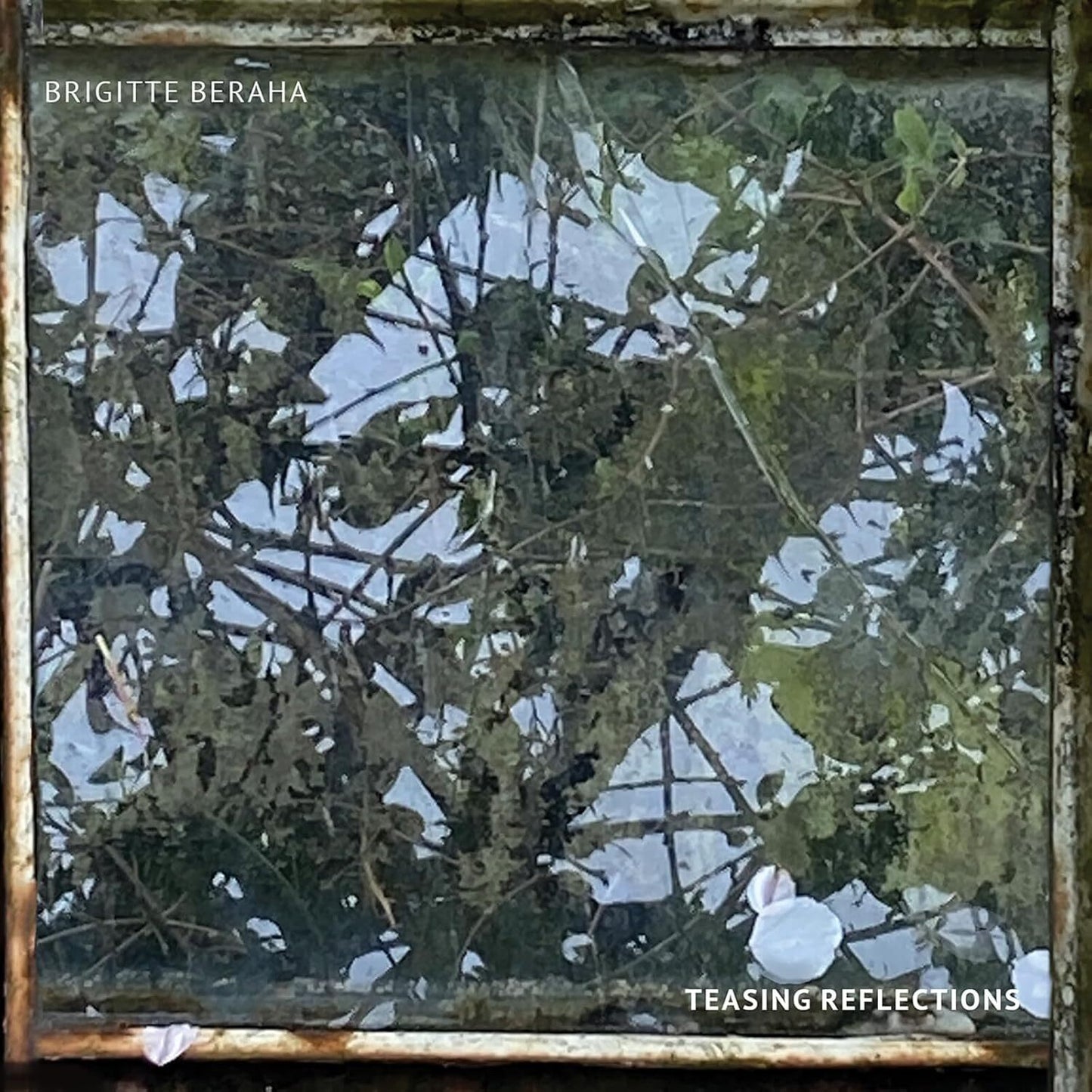 Teasing Reflections