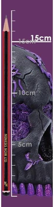 Nemesis Now Rose Geode Skull