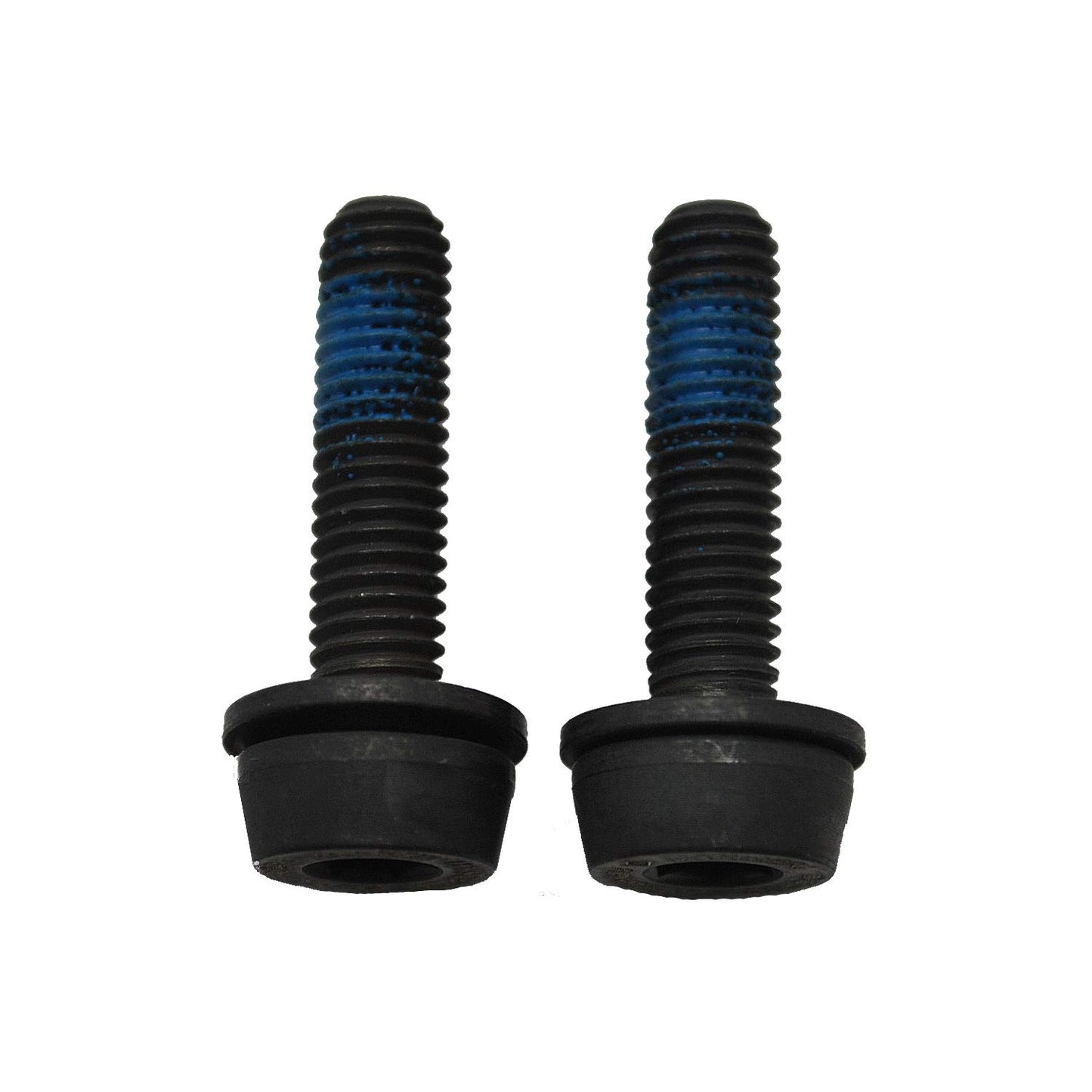 Campagnolo 25-29mm Rear Mount Screws 34mm x2
