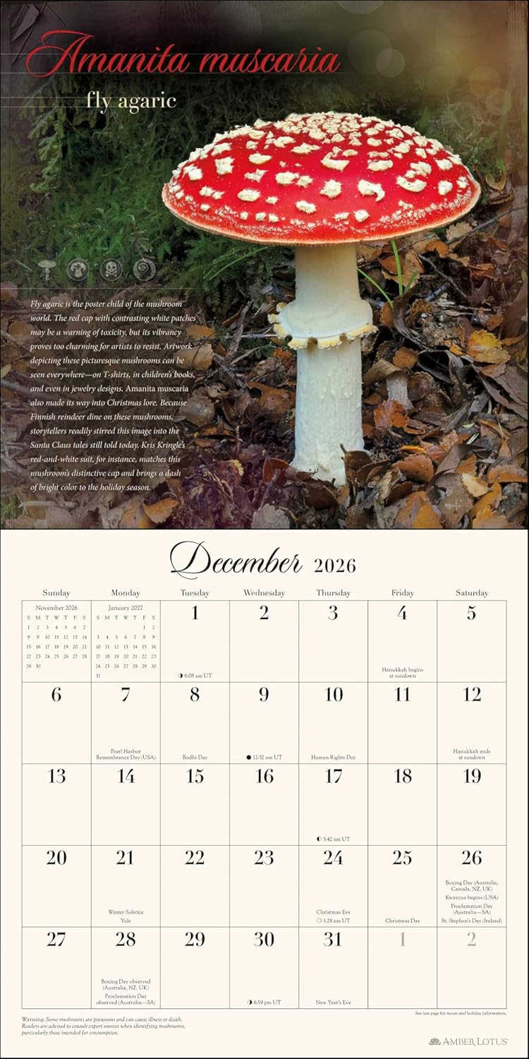 The Miraculous Mushroom 2026 Wall Calendar: With Fabulous Fungi Facts