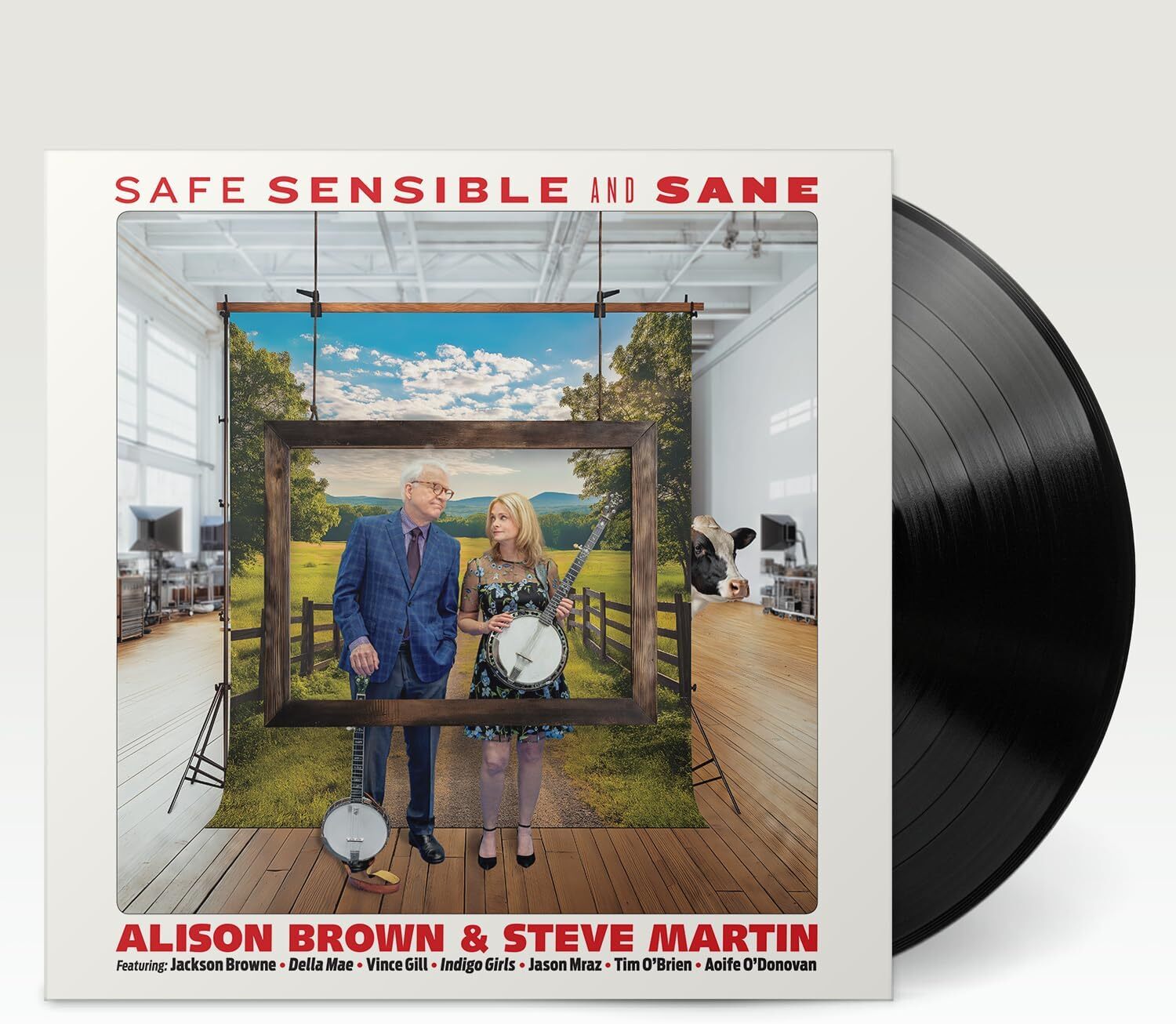 Safe, Sensible and Sane