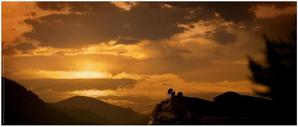 Minuscule - La Vallée Des Fourmis Perdues