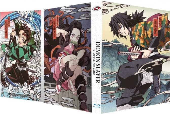 Demon Slayer Integrale Saison