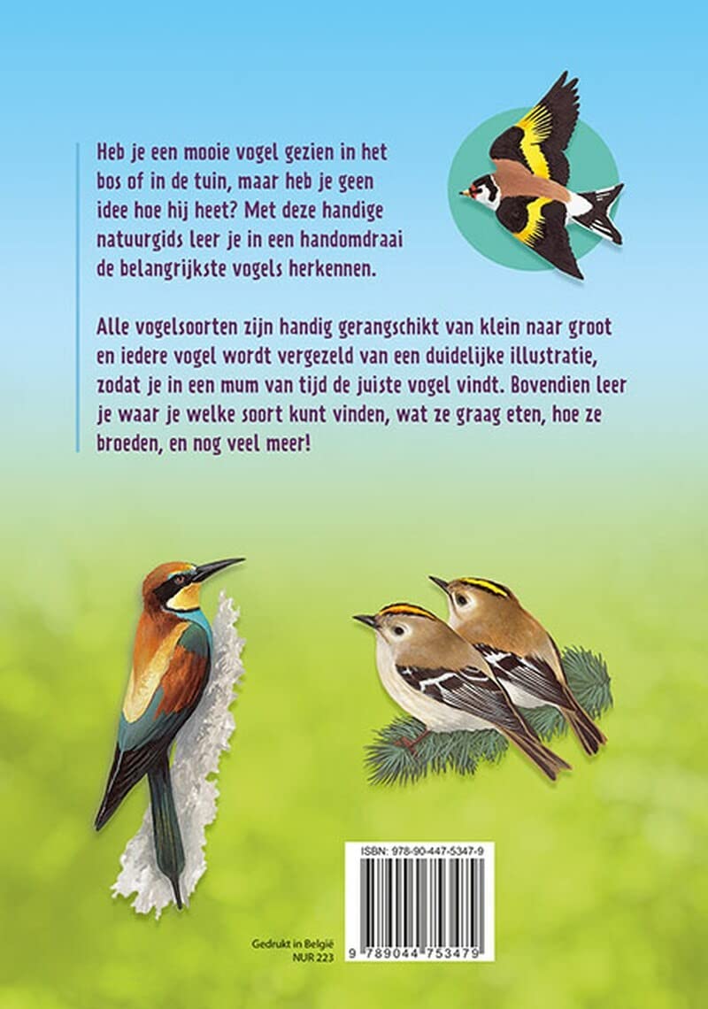 Vogels herkennen en observeren: een handige natuurgids voor kids