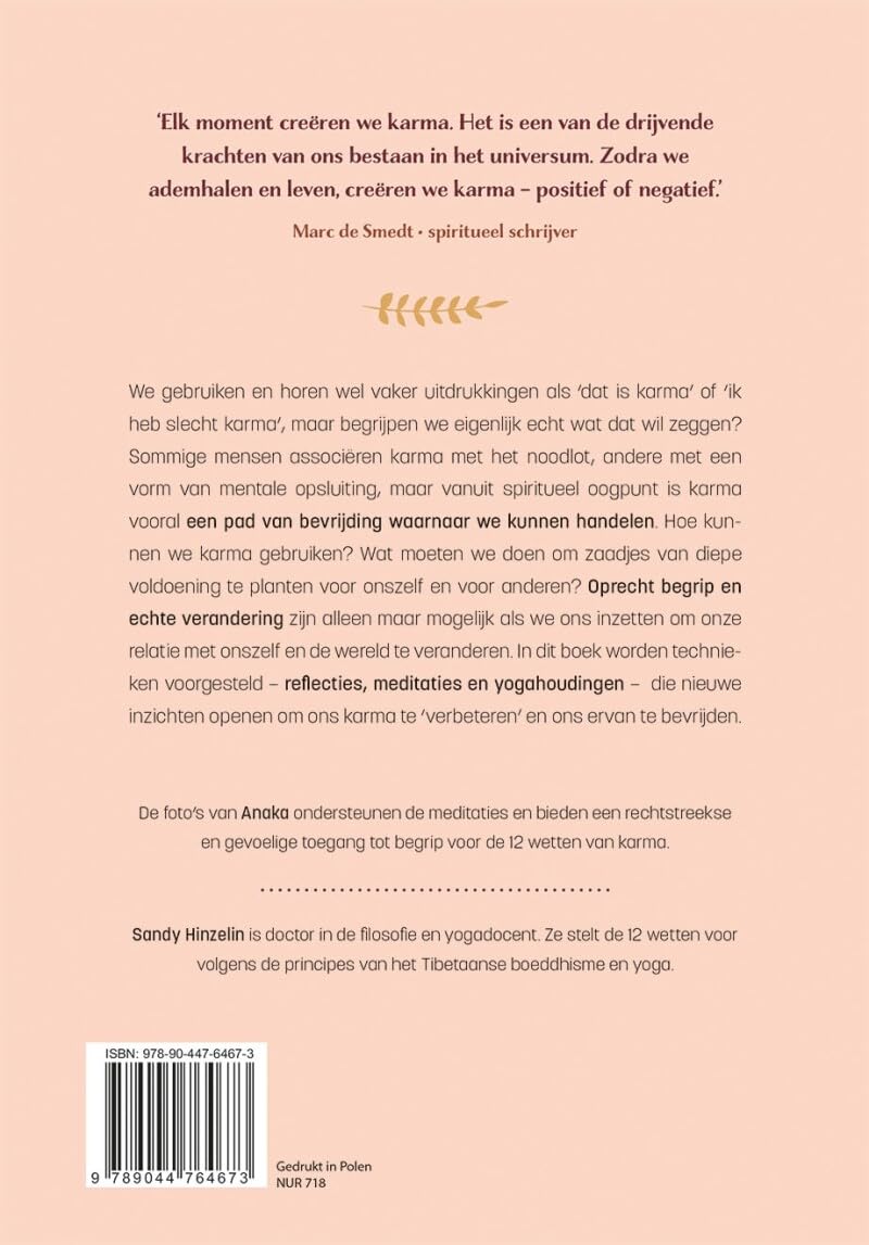 De 12 wetten van Karma: gebruik de universele principes van karma voor een positieve verandering bij jezelf en in de wereld