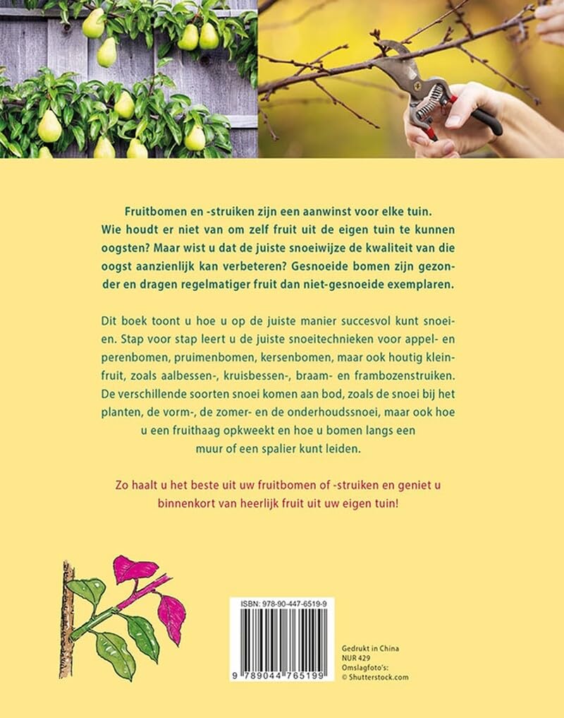 Fruitbomen snoeien: De beste snoeitechnieken voor elke fruitsoort stap voor stap uitgelegd (Basishandboek