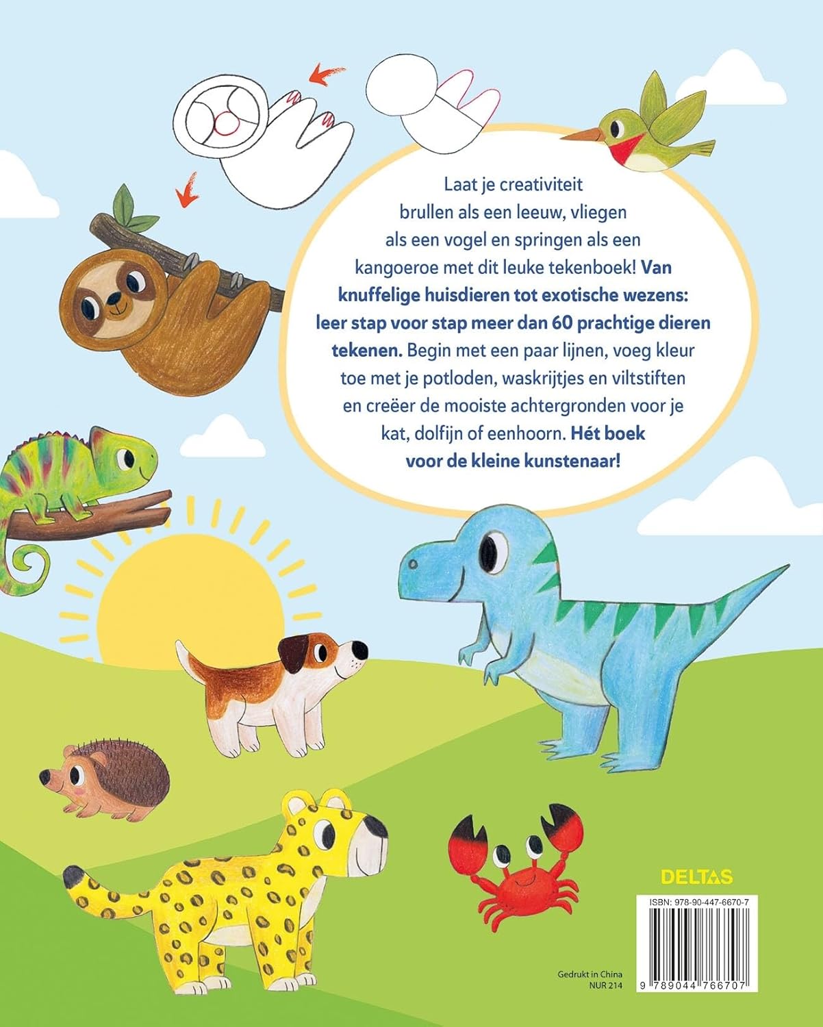 Stap voor stap dieren tekenen: van een stoere leeuw tot en schattige egel : tover de mooiste dieren uit je potlood!