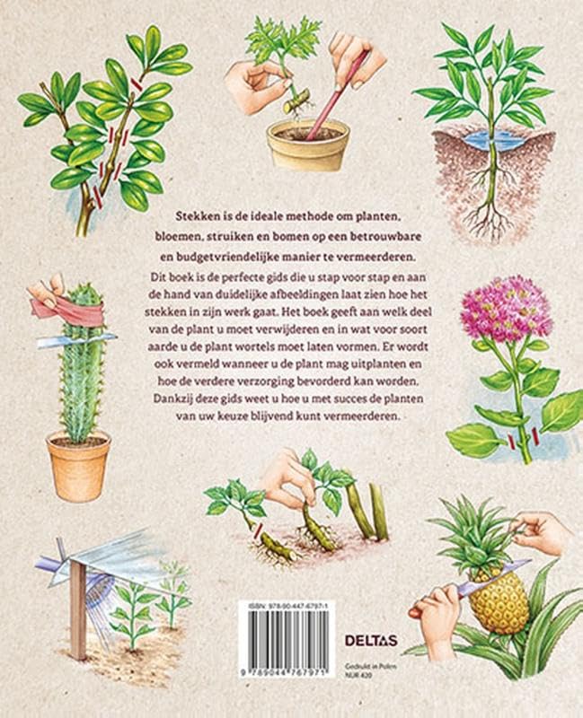 Handboek stekken van A tot Z: De juiste stekmethode voor meer dan 120 kamerplanten, tuinplanten, struiken en bomen