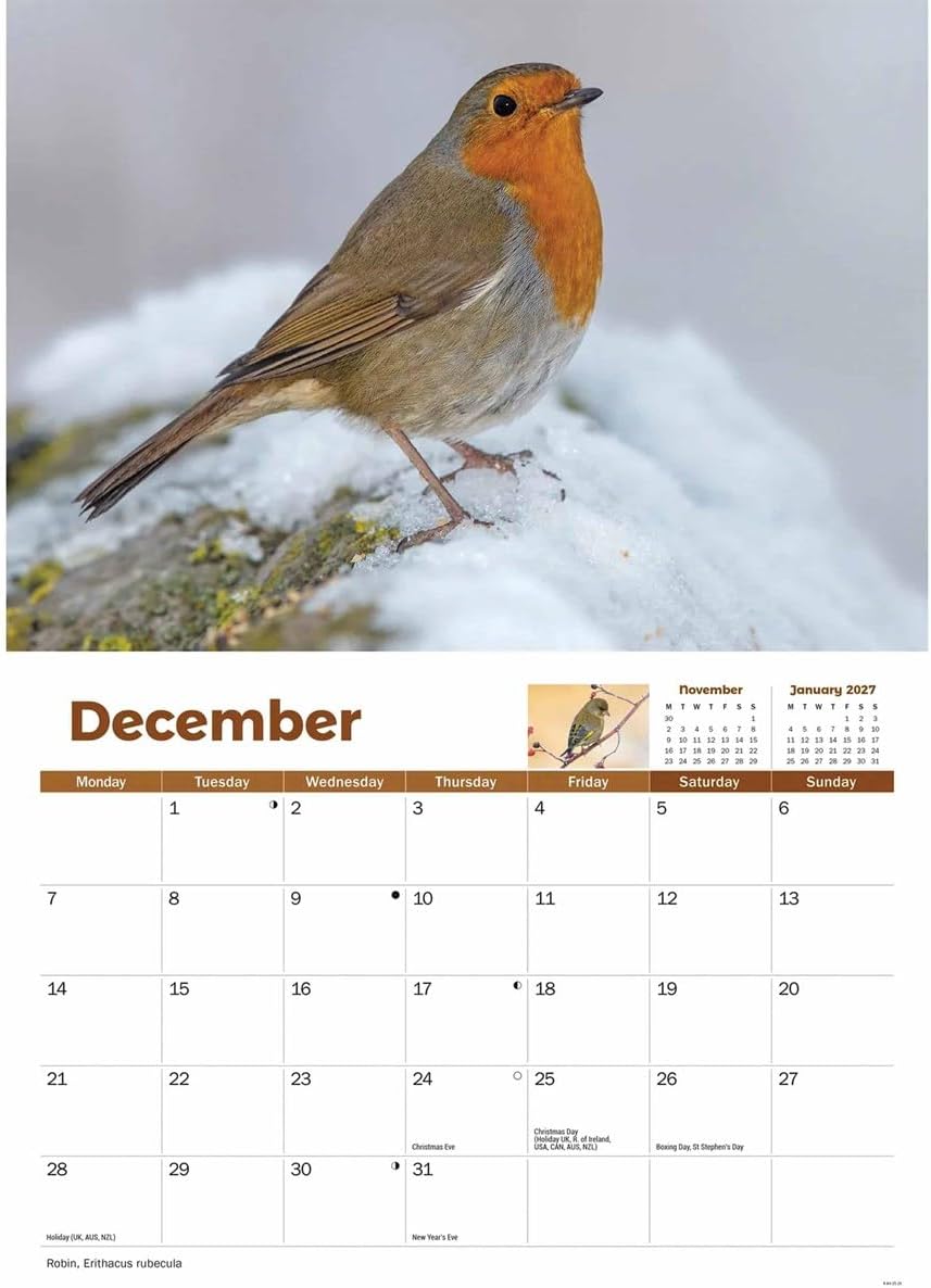 Carousel Worldwide, Garden Birds 2026 A4 Wall Calendar