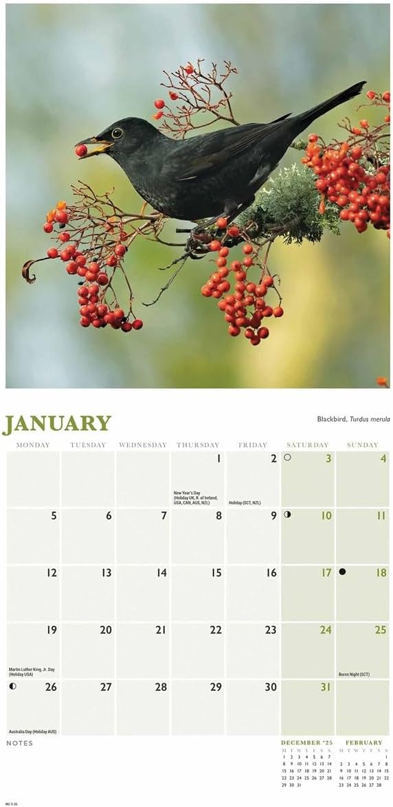 Carousel Worldwide, British Garden Birds 2026 Mini Wall Calendar