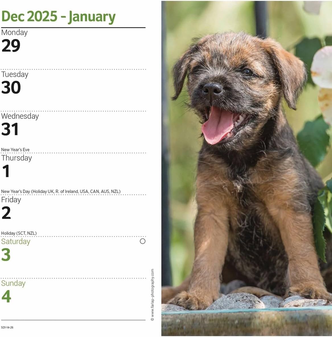 Carousel Worldwide, Border Terriers 2026 Slim Diary Planner