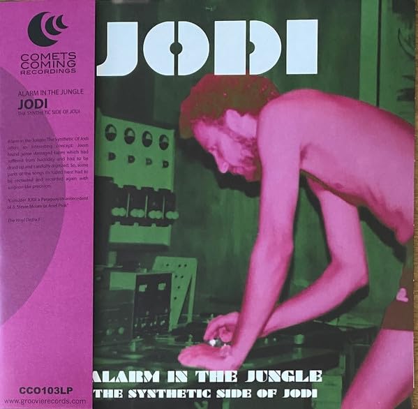 Alarm In The Jungle: The Synthetic Side Of Jodi