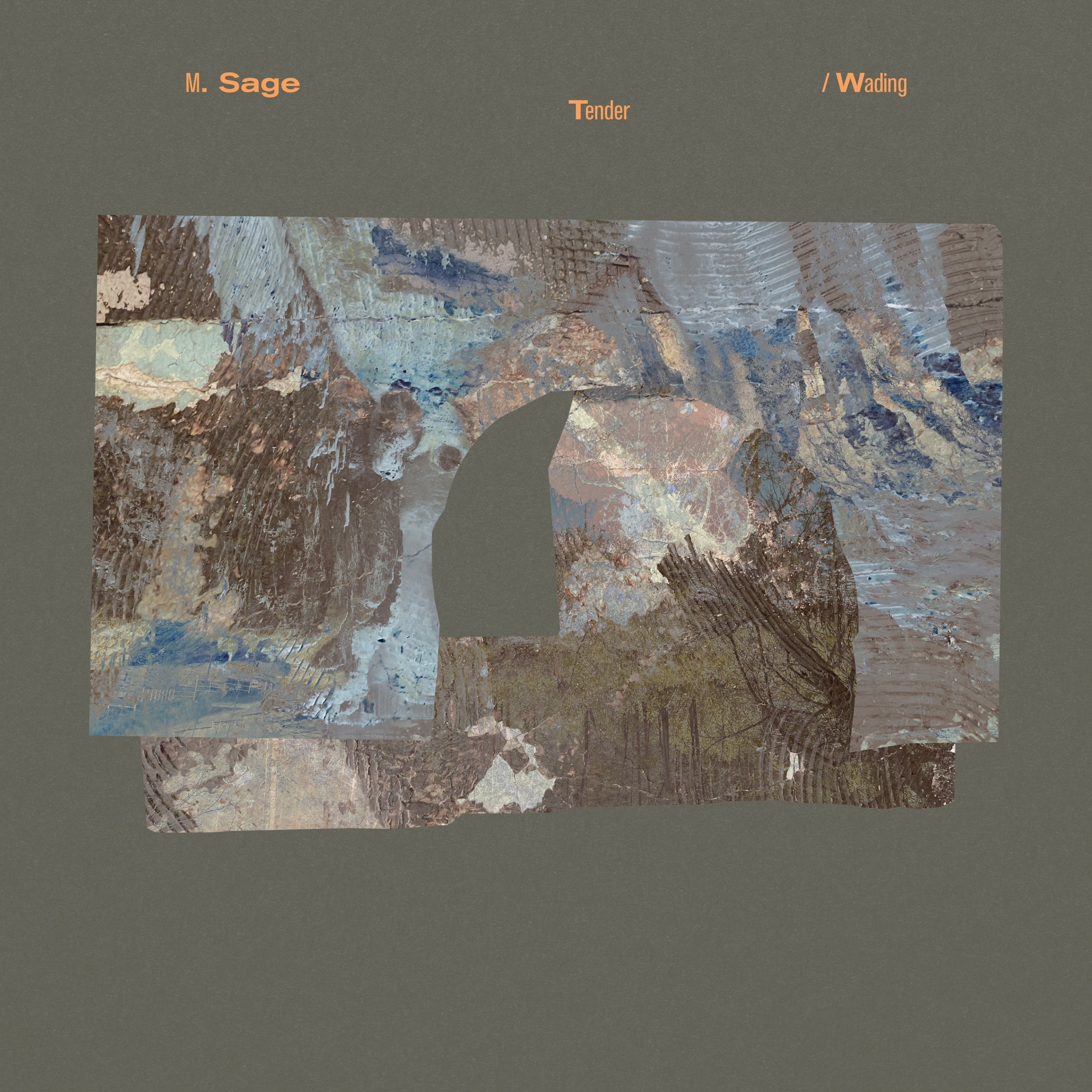Tender/Wading