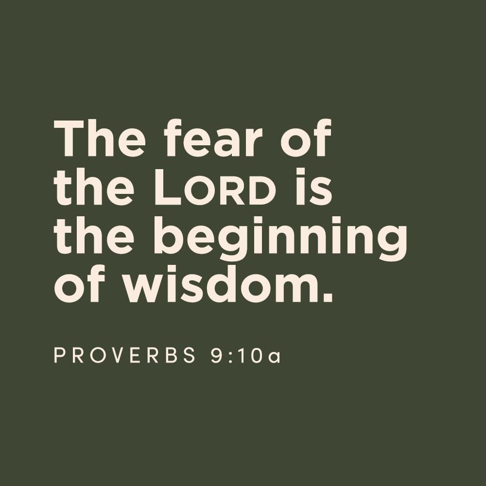 The Way of Wisdom Bible Study Book with Video Access