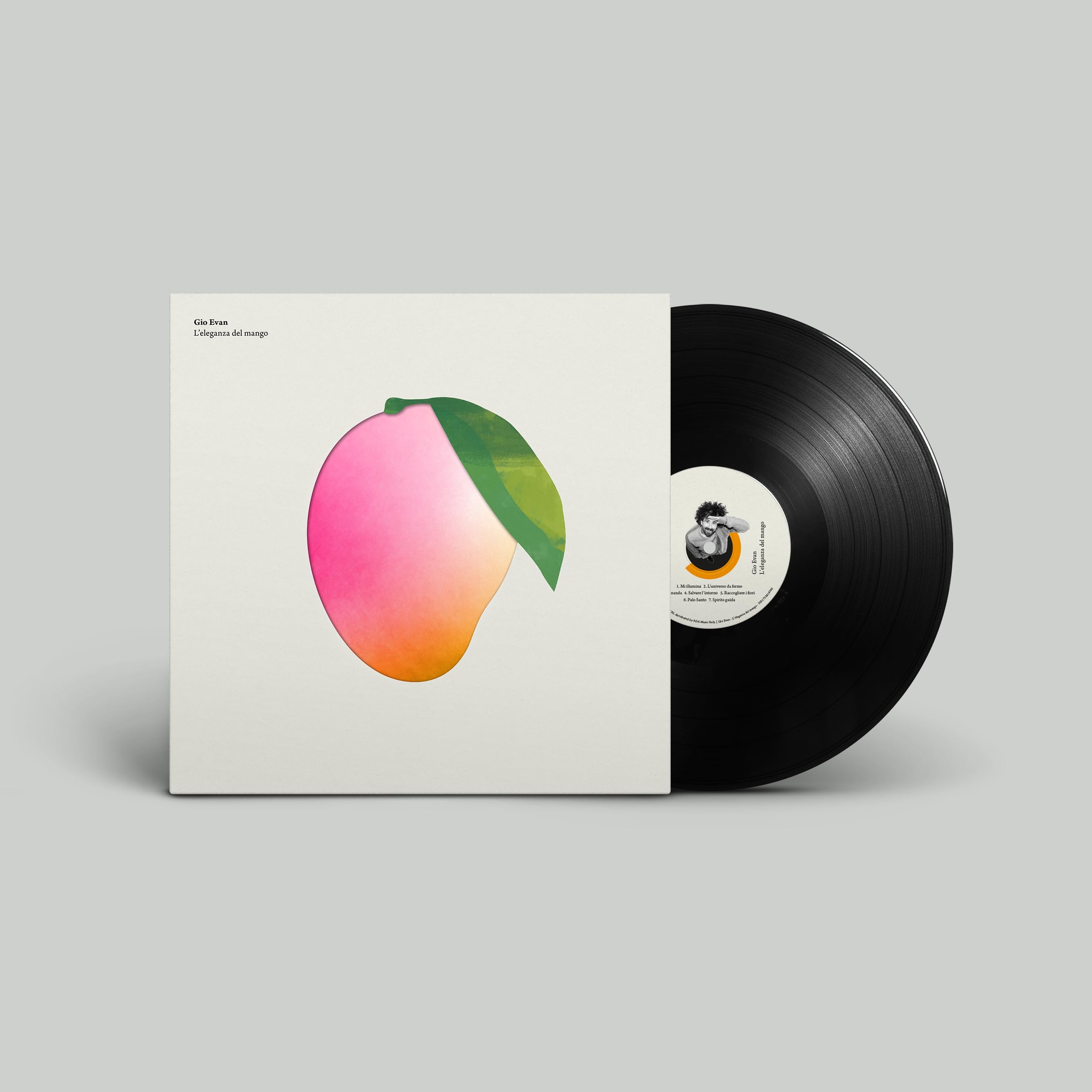 L'eleganza Del Mango (Vinile Nero Standard