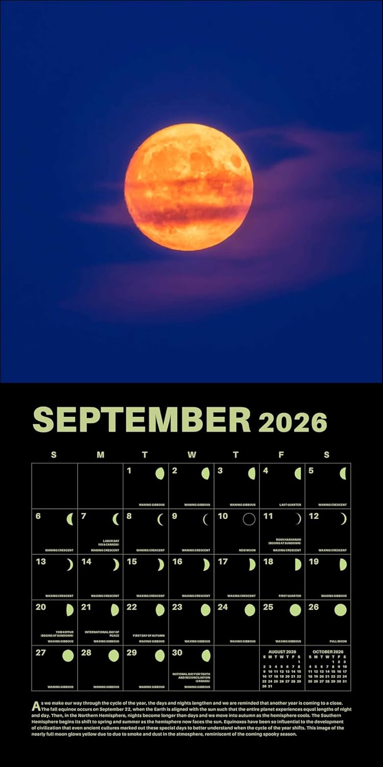 Lunar 2026 Wall Calendar: Original Universe-Kalender
