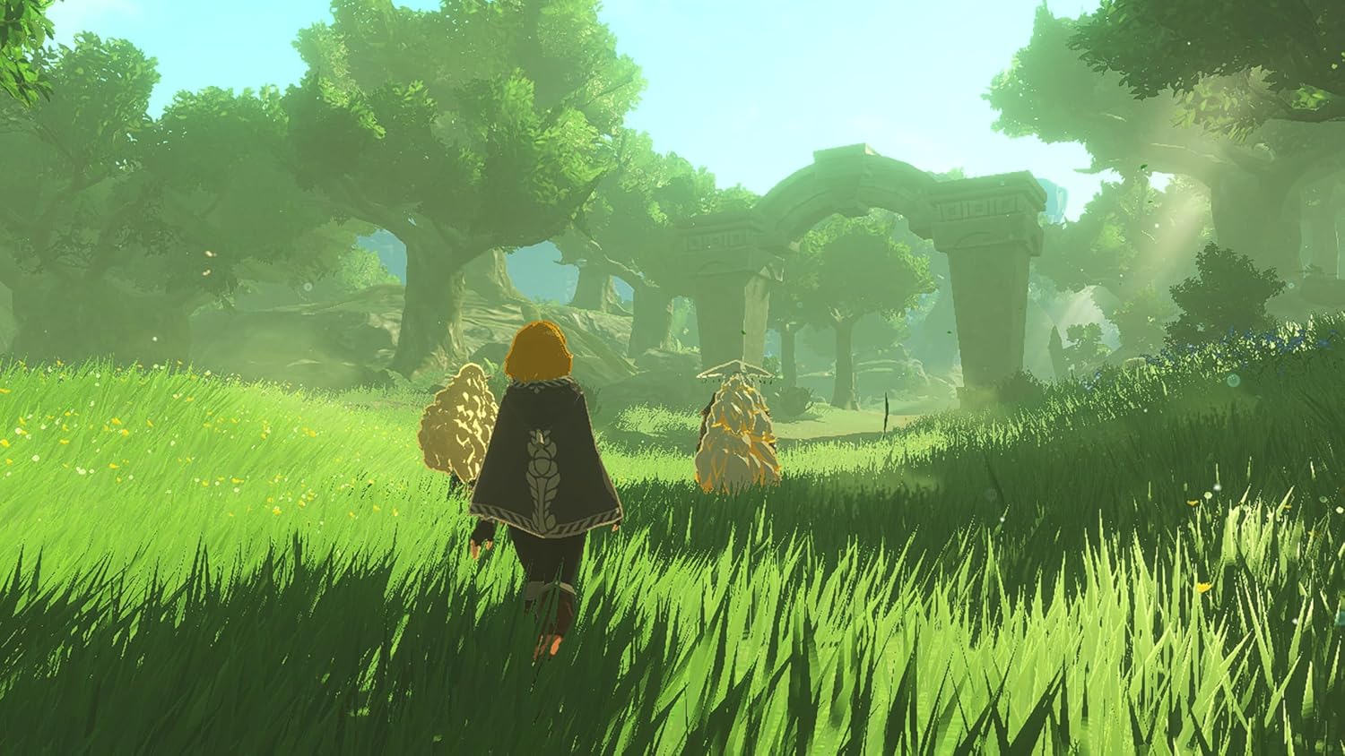 Hyrule Warriors: Age of Imprisonment Standard