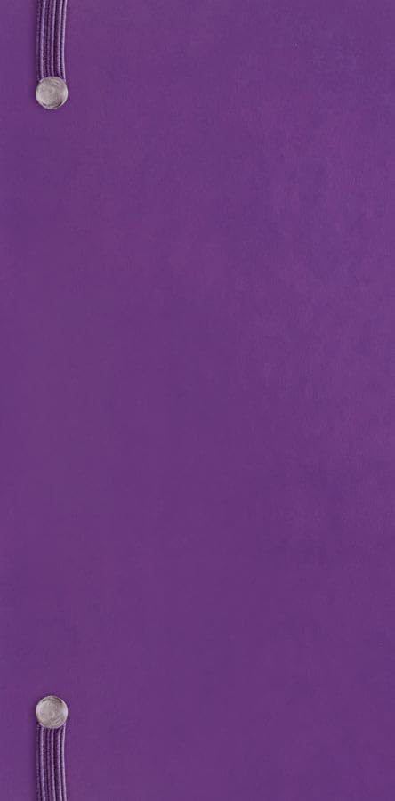 Carousel Worldwide, Purple Soft Touch 2026 Deluxe Slim Diary Planner