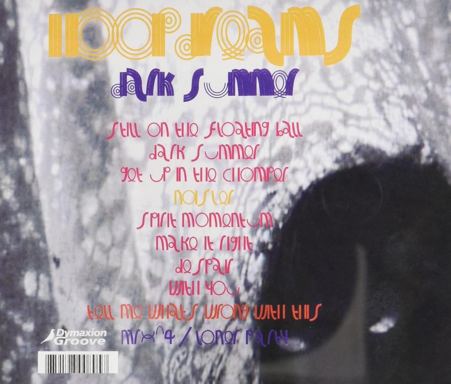 Hoopdreams - Dark Summer