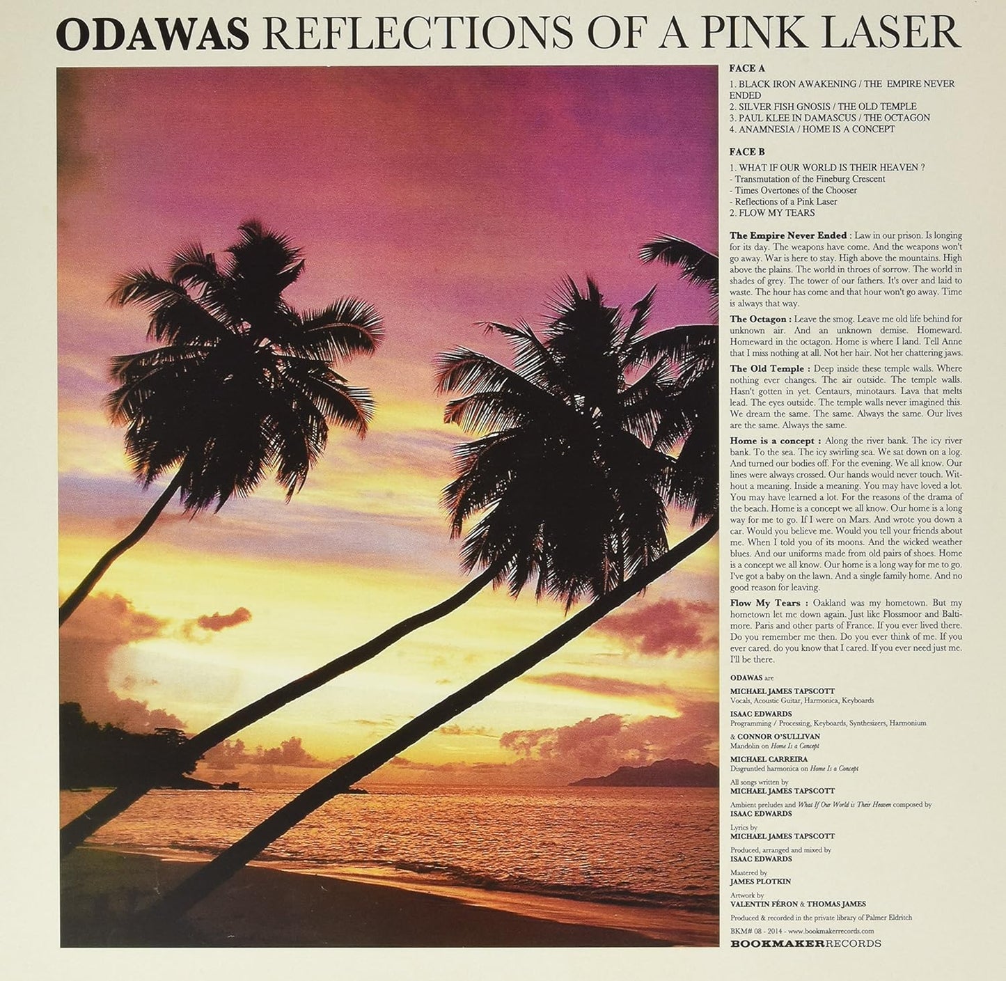 Reflections of a Pink Laser