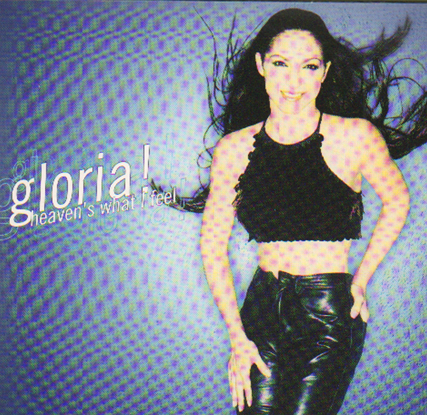 Gloria Estefan-Heaven`S What I Fell -Cds