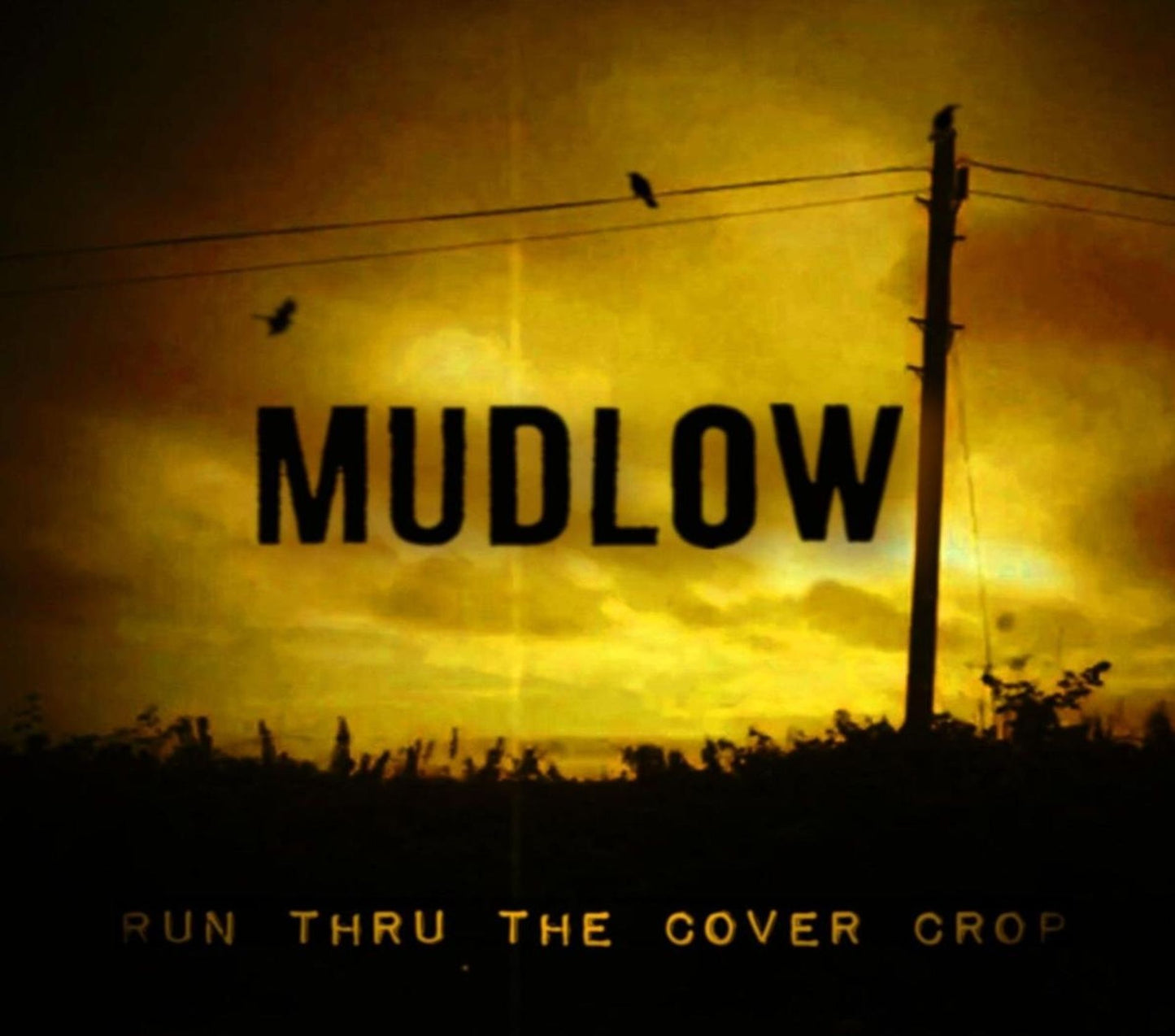 Run Thru the Cover Crop