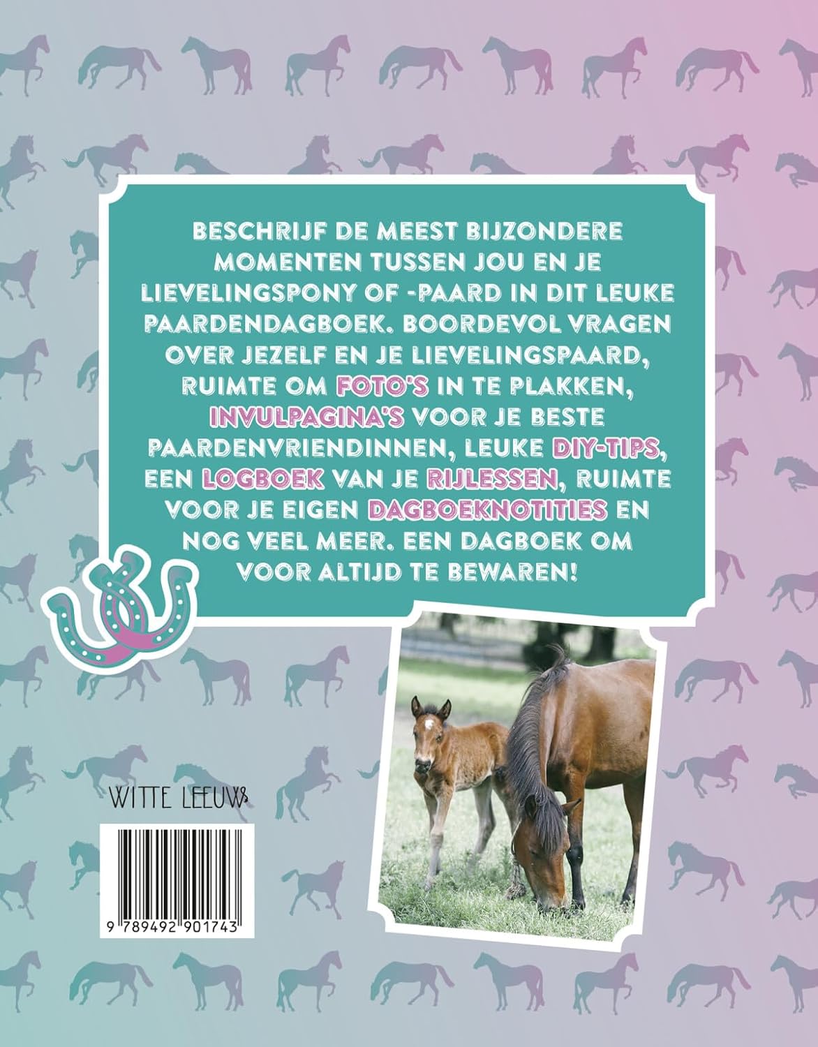 Mijn paardendagboek: Het allerleukste invulboek voor paardenfans