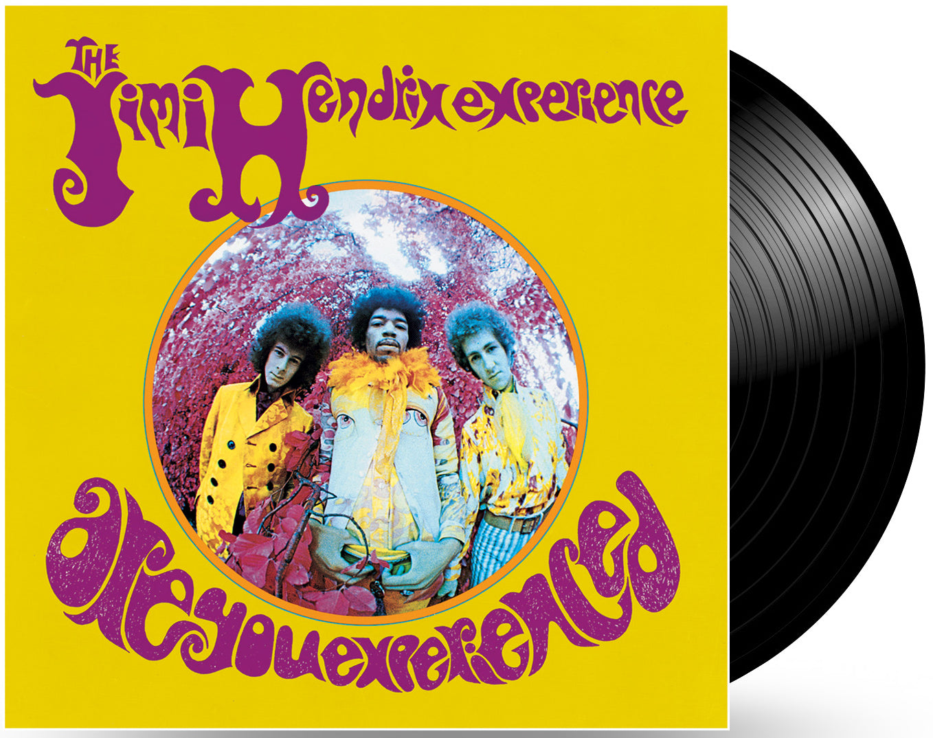 Are You Experienced