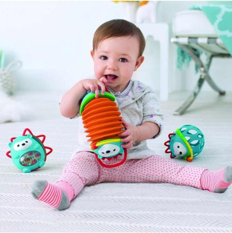 Skip Hop Explore and More Accordion Toy, Hedgehog