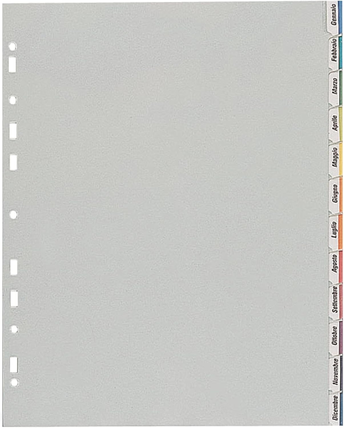 Favorit 40006688 Divisori con Foratura Universale per Raccoglitori ad Anelli con 12 Tacche Neutre e Cartoncino Stampato, Formato Interno 22 x 30 cm, in Polipropilene (Materia Plastica Atossica