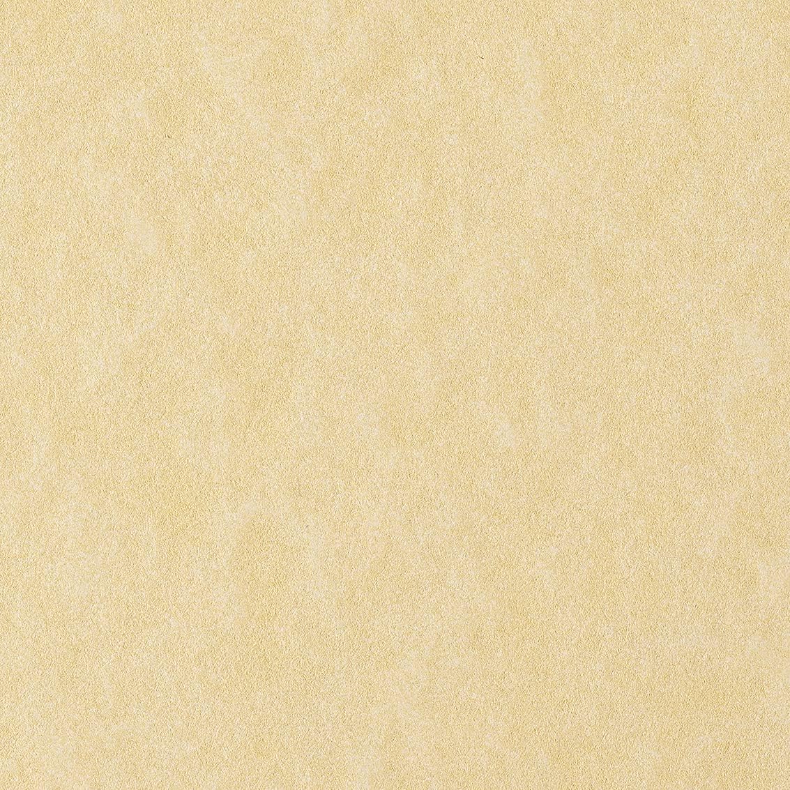 Favini CF50 FOGLI PERGAMENA A4 90G BIANCO Carta & 867197 Pergamena Liscio, 50 Pezzi